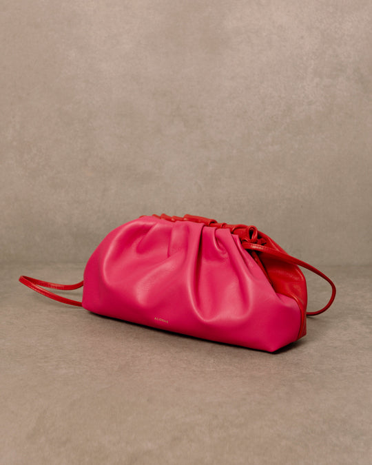 The D Bicolor Red Magenta Leather Clutch